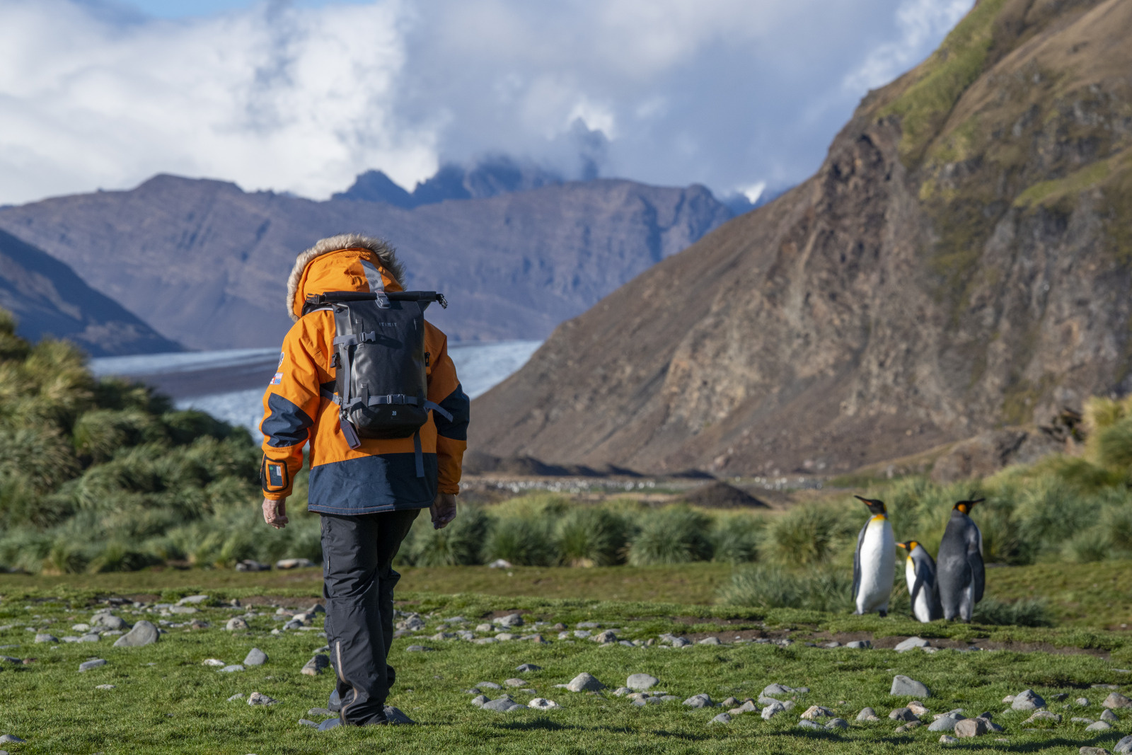 南极旅游攻略_南极自由行_北极旅游公司/旅行团_极之美极地旅行机构