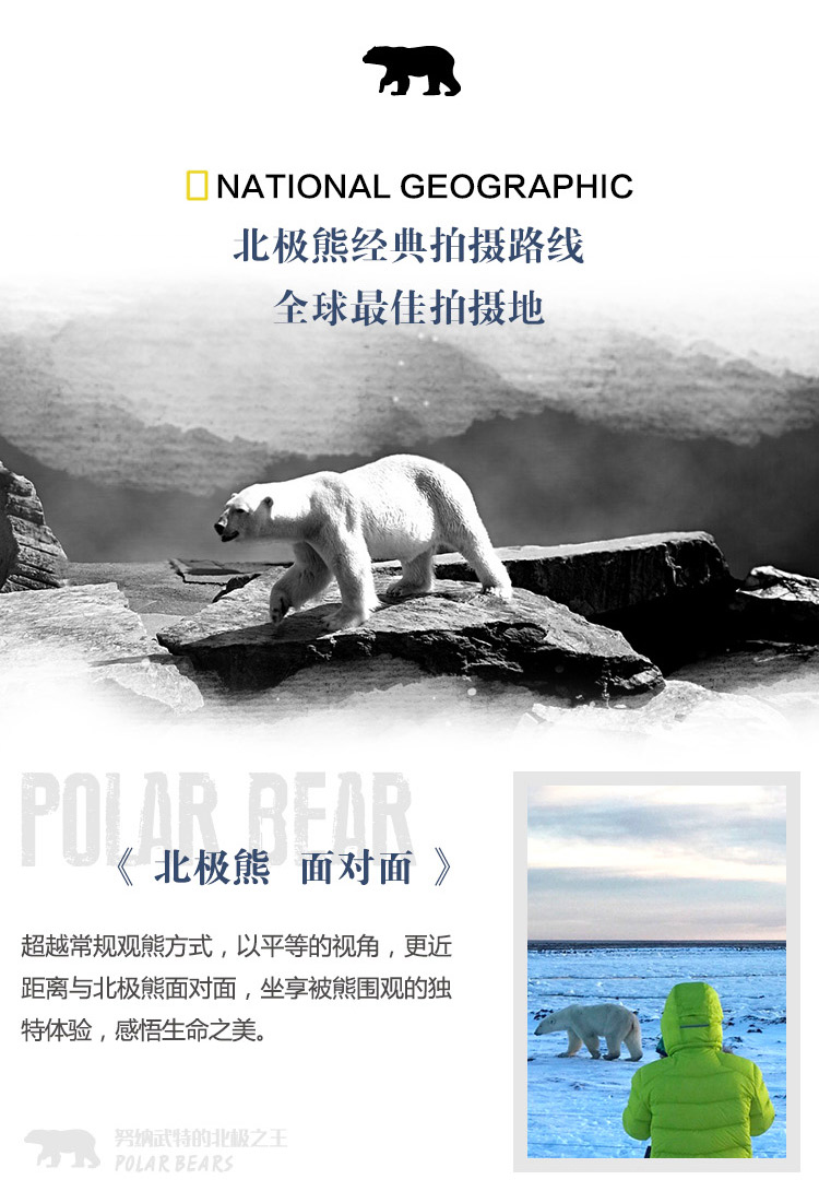 2025-极之美-努纳武特北极之王-长图_02.jpg