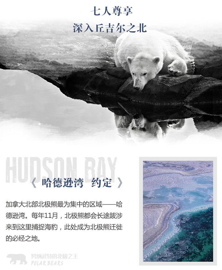 2025-极之美-努纳武特北极之王-长图_04.jpg
