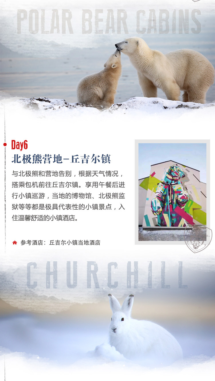 2025-极之美-努纳武特北极之王-长图_09.jpg