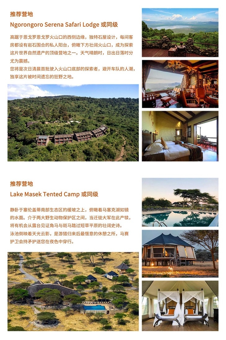 狂野坦桑 幼徙初跃(图3) 坦桑 营地长图_3.jpg