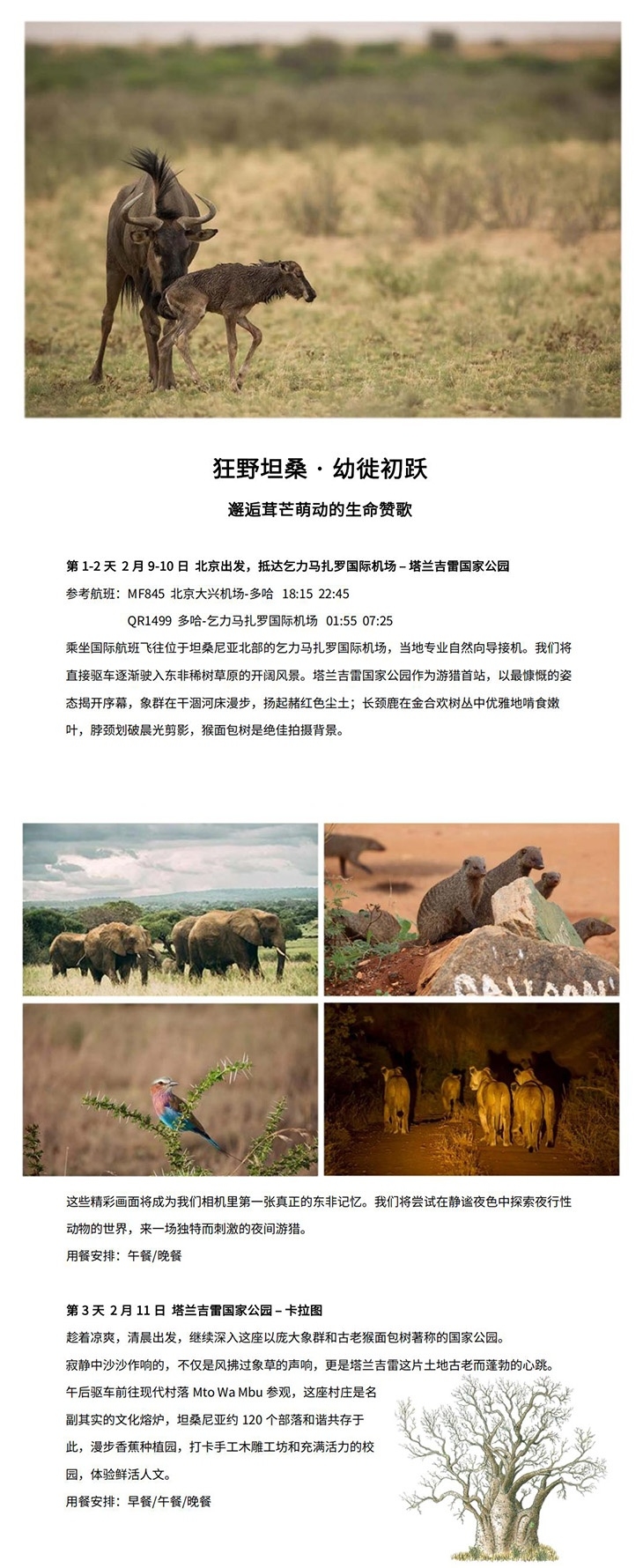 狂野坦桑 幼徙初跃(图1) 坦桑 行程长图_1.jpg
