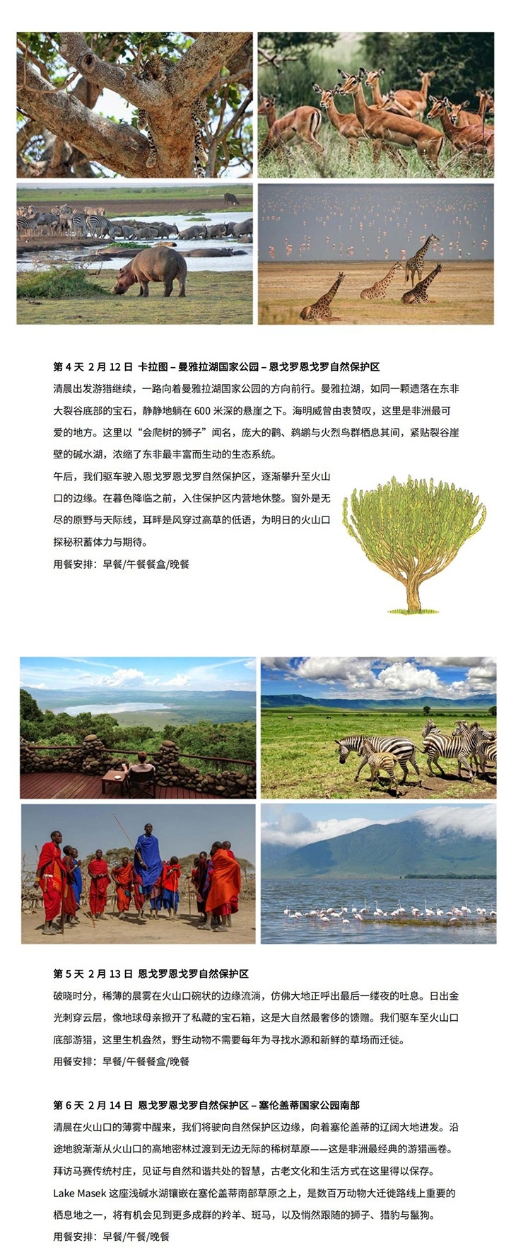 狂野坦桑 幼徙初跃(图2) 坦桑 行程长图_2.jpg