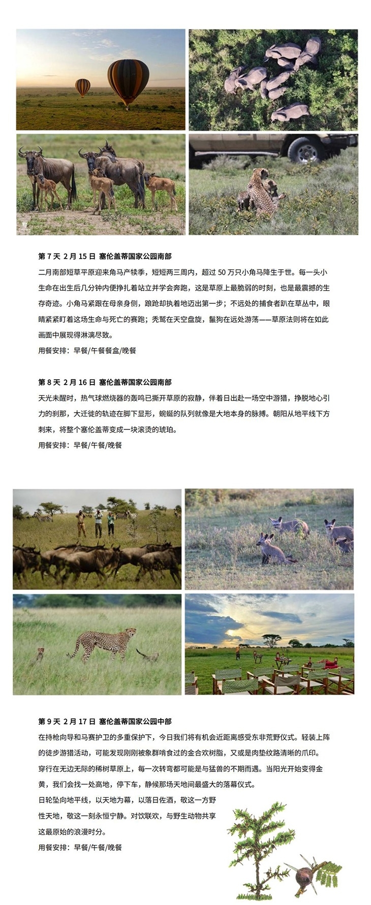狂野坦桑 幼徙初跃(图3) 坦桑 行程长图_3.jpg