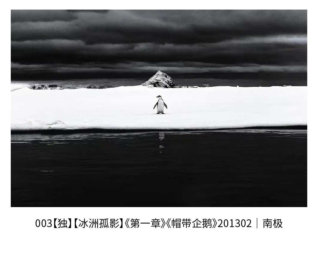著名摄影师、极之美旅行家边缘影展在京举办(图8) 8.jpeg