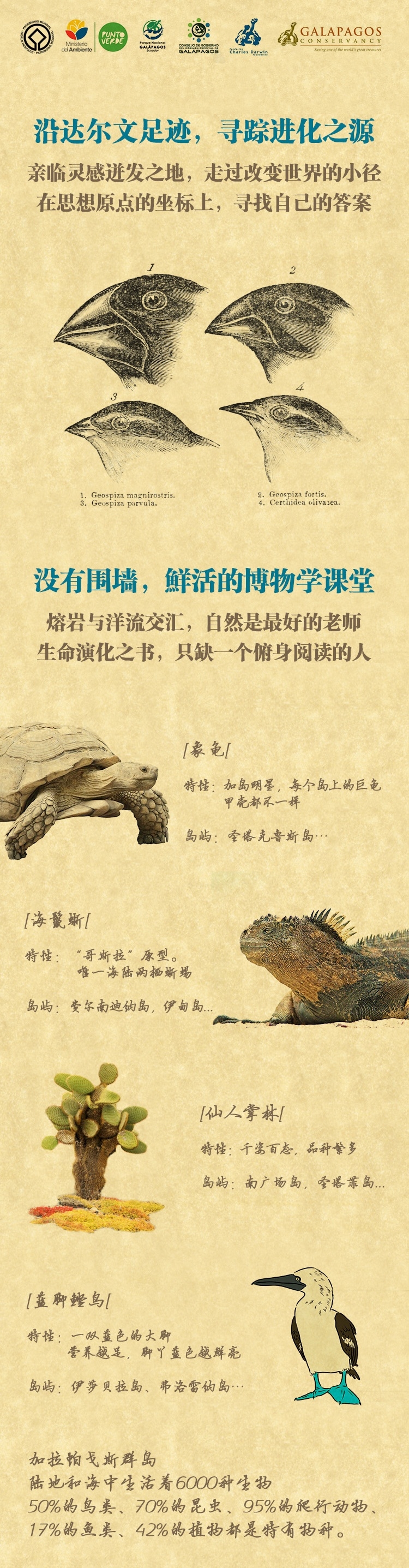 物种起源 · 探寻生命之美(图1) 加拉 _2.jpg