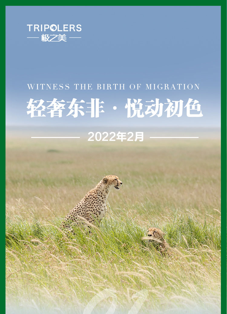 悦动初色