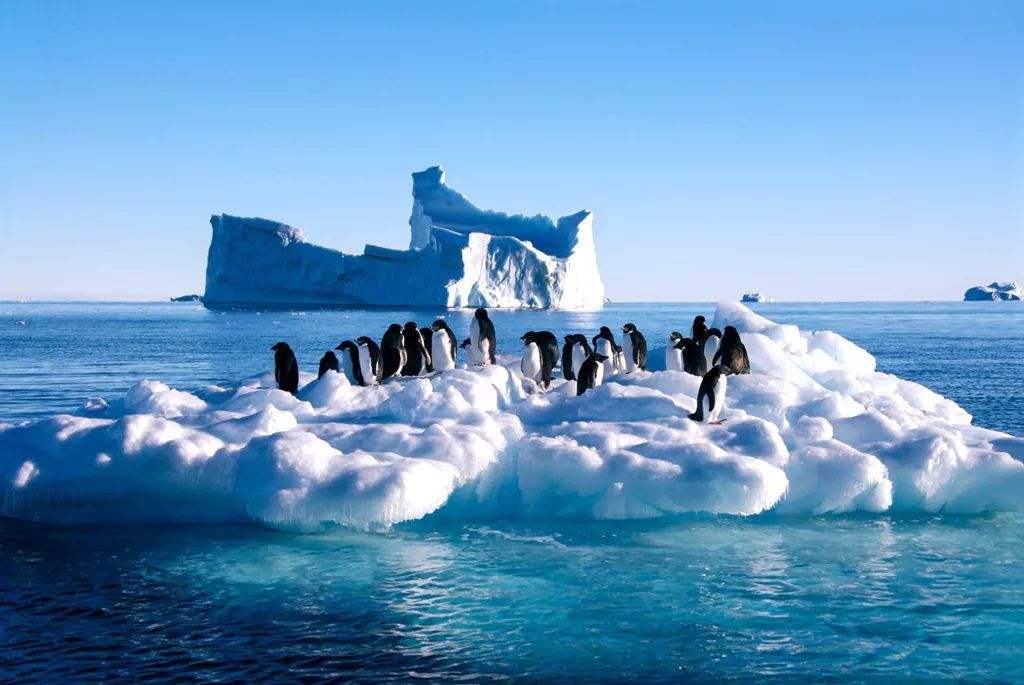 南极点旅游