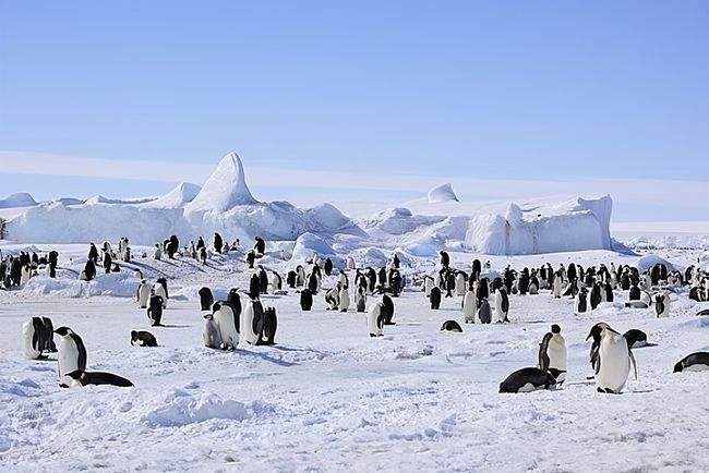南极旅游