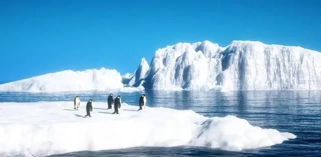 南极旅行——去南极旅游多少钱(图1)