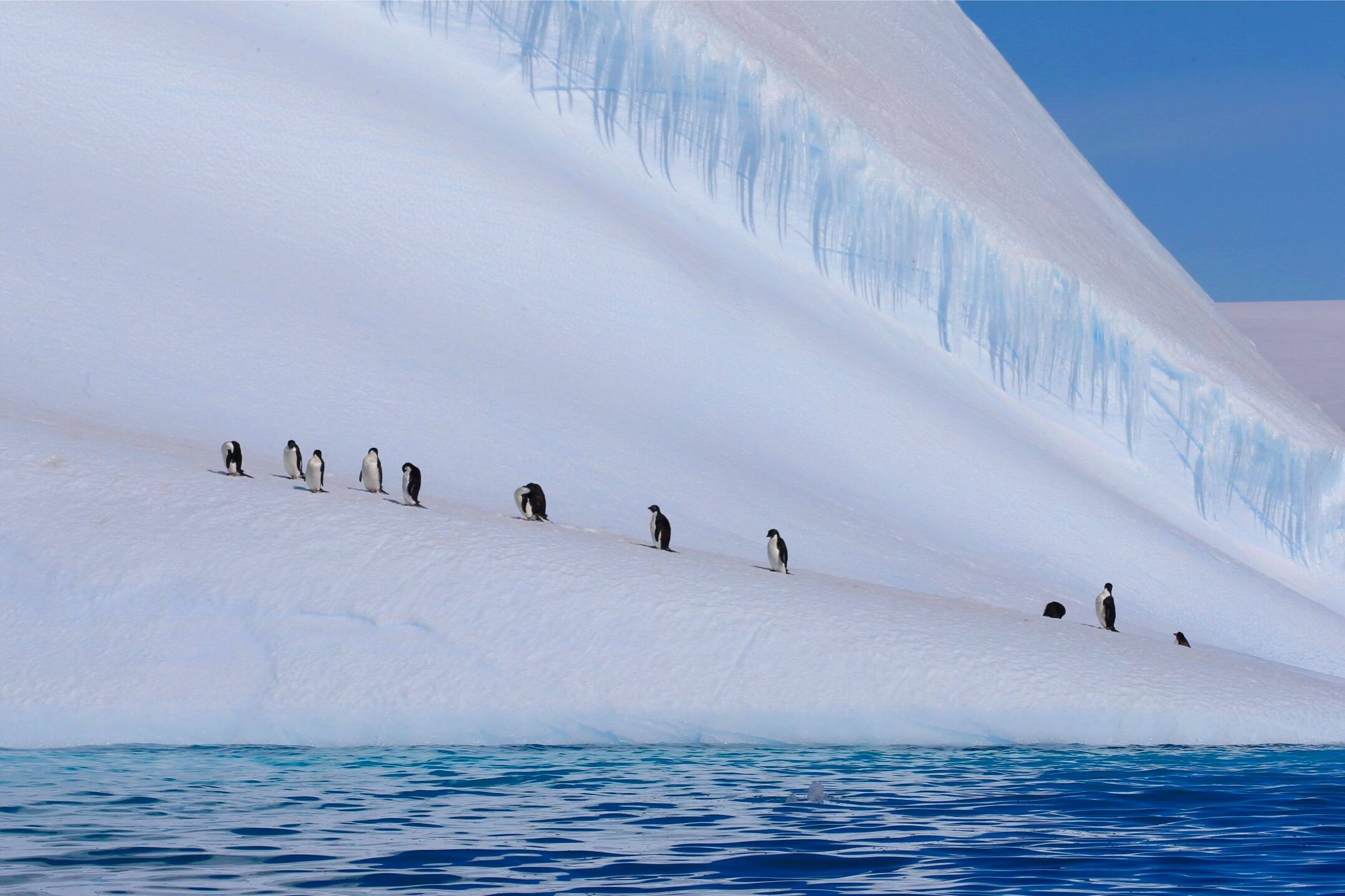南极旅行攻略：什么时候去南极最好，穿什么好?